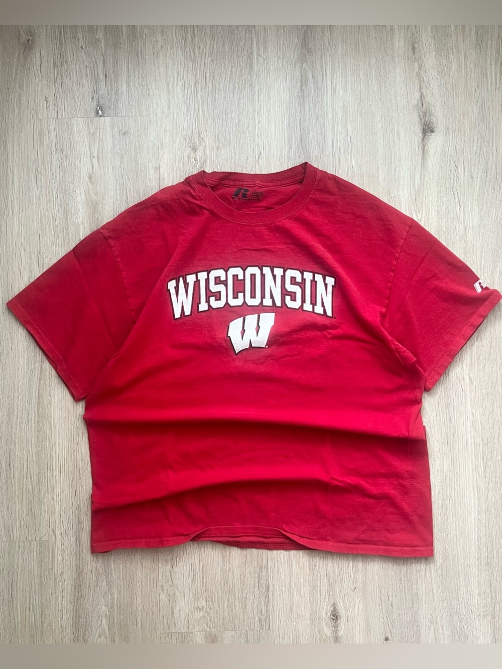 Vintage Y2K Style University of Wisconsin Badgers T-Shirt Mens XL Red NCAA Tee